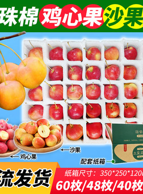 EPE珍珠棉鸡心果托沙果托南果梨托网格拉伸泡沫托123小苹果大李子