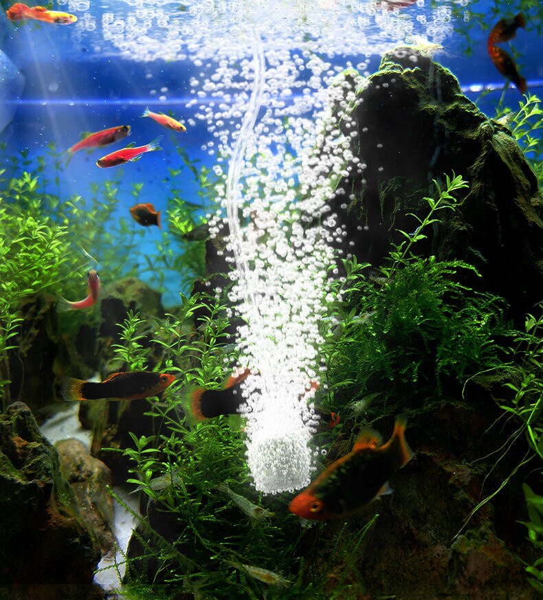 家用鱼缸增氧泵水族氧气泵usb静音充氧泵钓鱼冲氧鱼缸小型打氧机