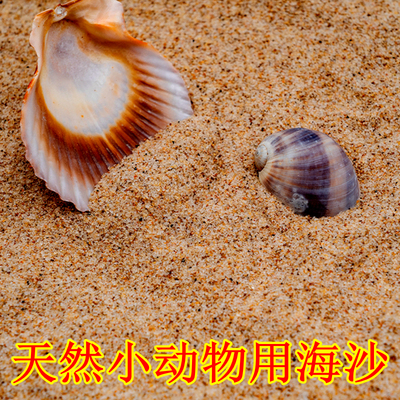 沙子海边沙子乌龟冬眠孵化用海沙鱼缸造景垫底沙砂子草龟用海砂子