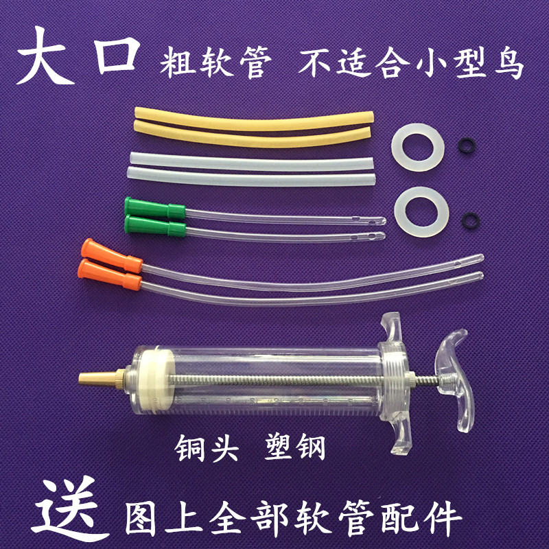 大口灌喂器注射器鸽子鹦鹉鸟