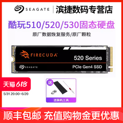 希捷1T/2T/4T固态硬盘酷鱼Q5/酷玩510/520/530电脑nvme笔记本ssd