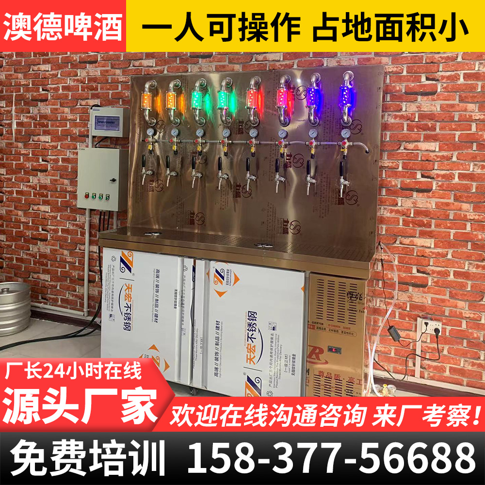 烧烤店冰鲜售酒机双头制冷售酒啤酒专用售卖设备