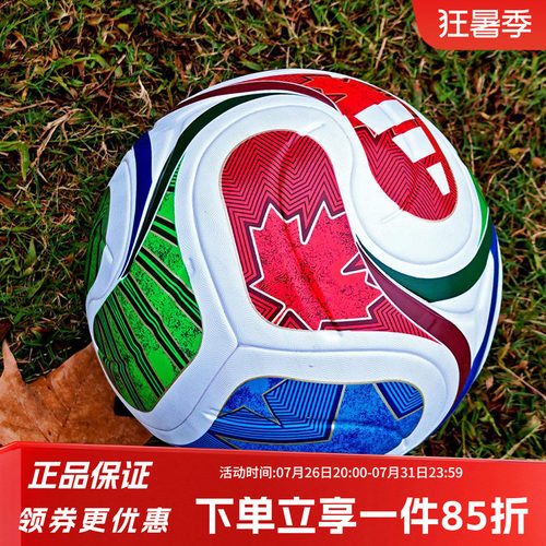 阿迪达斯世界杯训练足球