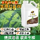 年辉大爆根生根剂养根壮苗西瓜专用生根壮苗肥果树冲施肥水溶肥料