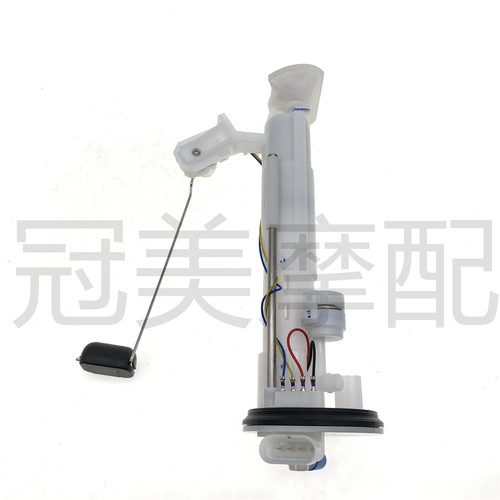 适用布雷斯通极昼ADV150踏板车BL150T-4D汽油泵 燃油泵 抽油泵