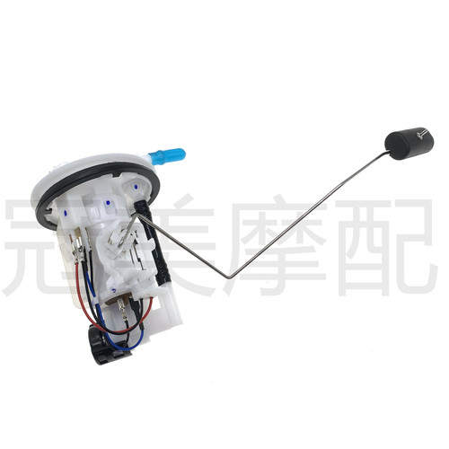 适用雅马哈天剑王YBR250飞致YS250 JYM250-2A-2B-3汽油泵 燃油泵