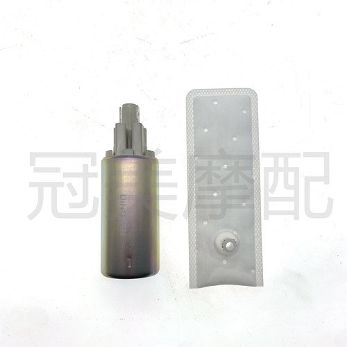 适用钱江贝纳利黄龙250 300飓风302R 600黄巡BJ600GS汽油泵芯马达