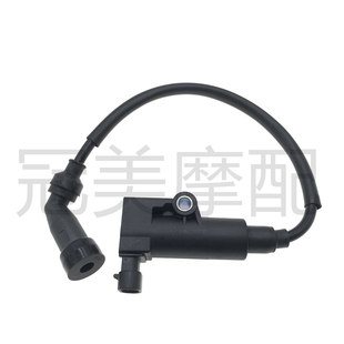 适用春风摩托车ST狒狒CF125-3德尔福点火线圈高压包点火器