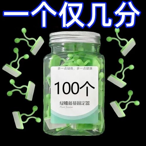 绿萝爬墙上无痕无粘固定器