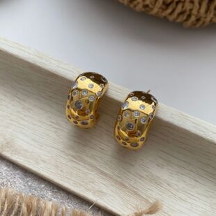 气质小众款感铜镀22k金满天星锆石耳钉925银针时髦欧美风耳饰