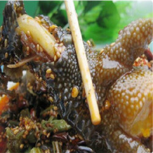 四川乐山特色无骨零食品鸡肉类