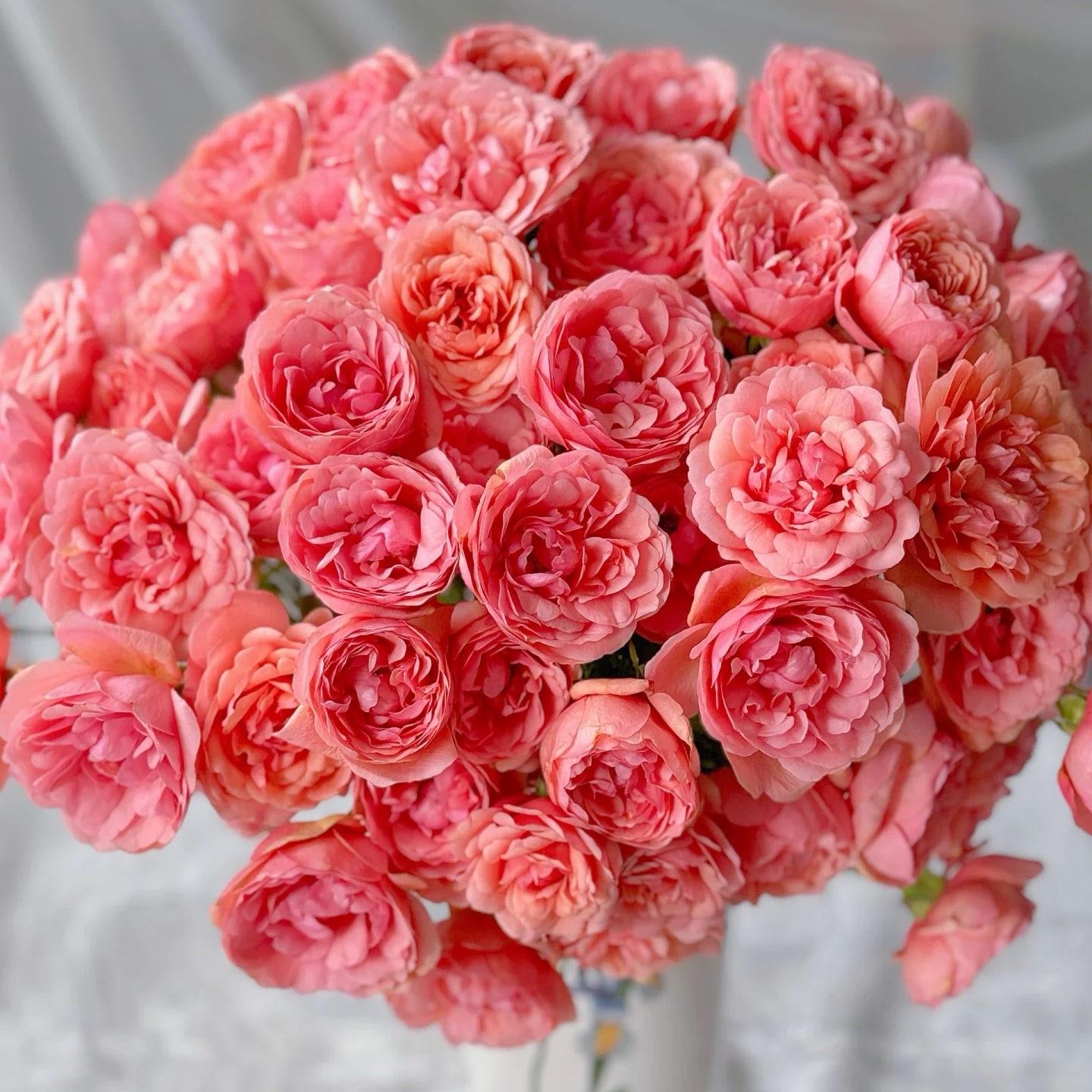 桃红果汁9支+1支防损（1单包邮2单升级快递）