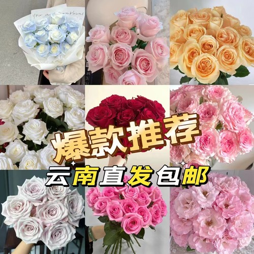 随机单头玫瑰40支防损 （1单包邮 2单升级快递）