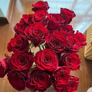高原红玫瑰 16支+4支防损 云南直发
