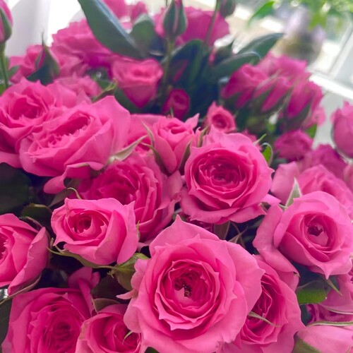 苏菲宝贝多头玫瑰9支+1支防损云南直发生日礼物家庭插花