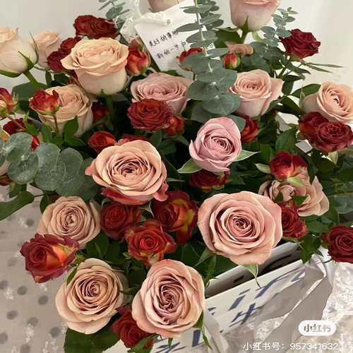 卡布奇诺玫瑰18支+2支防损