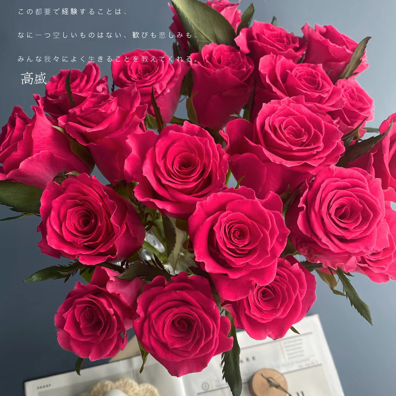 高胜18支+2支防损