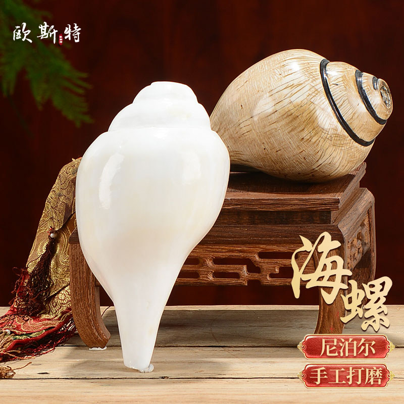 欧斯特 白海螺 尼泊尔居家供具佛家左旋/生物右旋海螺 大号带飘带