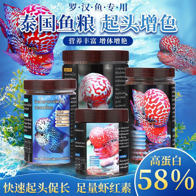 泰国罗汉鱼饲料高蛋白攻头增色增艳虾红素颗粒饲料跨境进口鱼粮