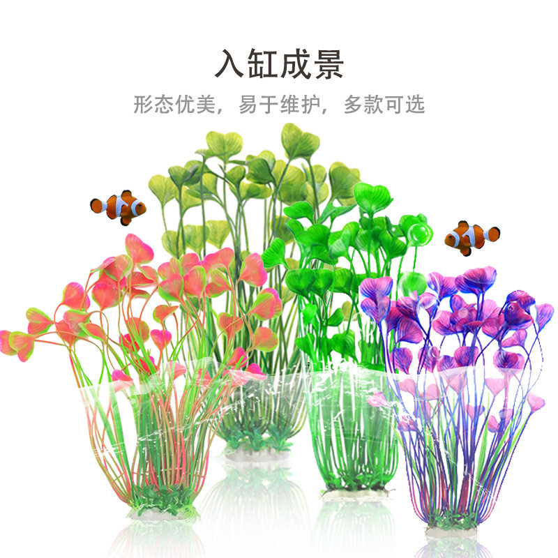 爬虫用品鱼缸造景塑料水族箱植物装饰仿真观赏鱼水草植物心形草