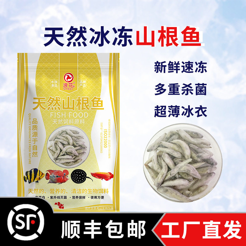 浪花冷冻山根鱼新鲜散冻大型鱼粮鱼食龙鱼魟鱼虎鱼乌龟饲料小杂鱼
