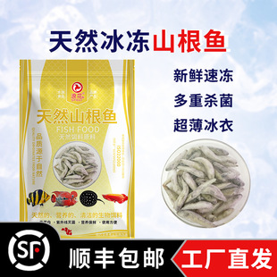 浪花冷冻山根鱼新鲜散冻大型鱼粮鱼食龙鱼魟鱼虎鱼乌龟饲料小杂鱼