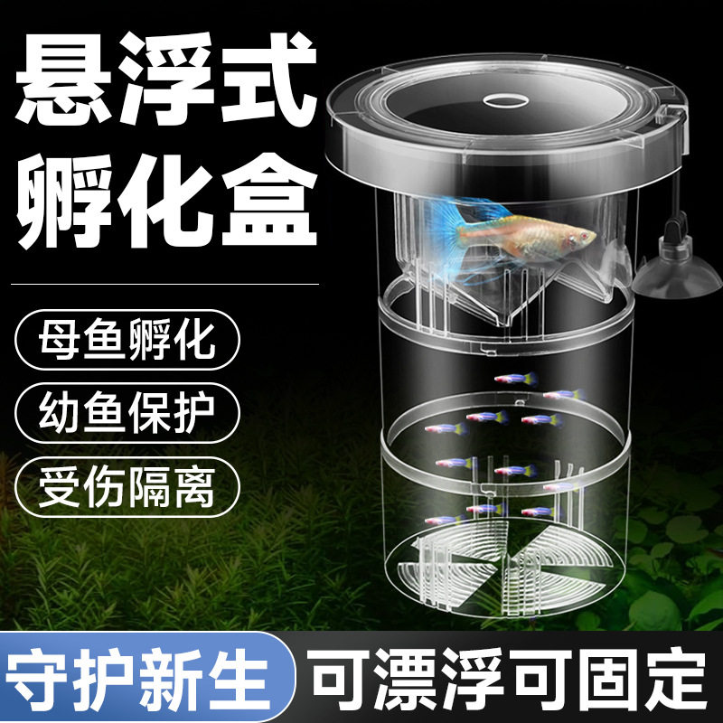 鱼缸孔雀鱼孵化器繁殖盒亚克力胎生热带鱼孵化产卵鱼苗保护隔离盒