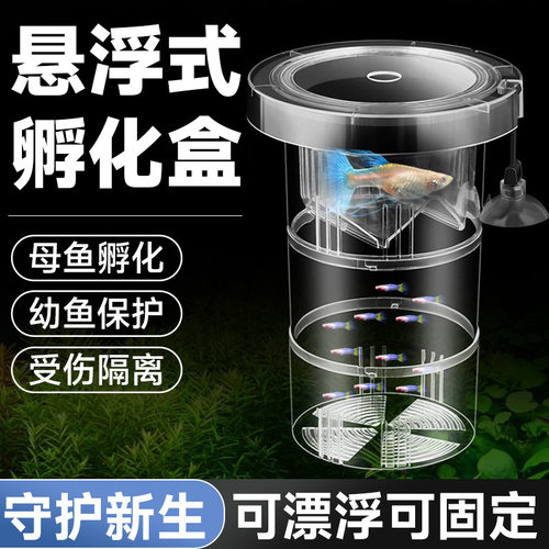 鱼缸孔雀鱼孵化器繁殖盒亚克力胎生热带鱼孵化产卵鱼苗保护隔离盒