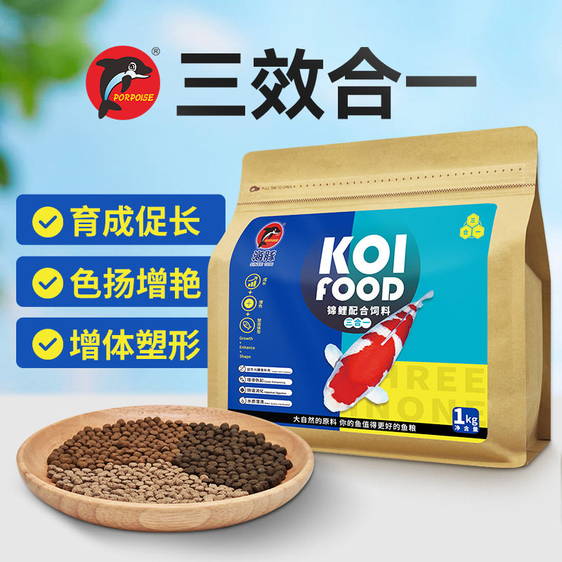 海豚颗粒型锦鲤观赏鱼