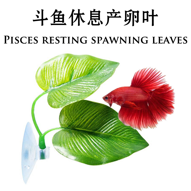 鱼缸水草固定价格 鱼缸水草固定图片 星期三 鱼缸水草固定价格 鱼缸水草固定图片 星期三