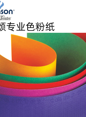 进口CANSON康颂色粉纸蜜丹粉画纸专业彩色素描纸160g双面纹理含棉