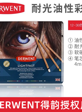 DERWENT得韵耐光彩铅Lightfast艺术家6901油性彩色铅笔肖像 单支