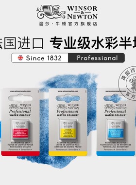 进口WINSOR温莎牛顿艺术家级专家级固体水彩颜料半块单块补充色