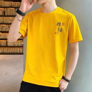t恤男生夏季 爆款 中国风禅悟衣服男装 打底衫 潮流学生2024新款 短袖
