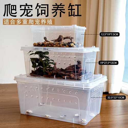 爬虫乌龟冬眠小号饲养盒角蛙睫角人渣爬宠饲养箱寄居蟹守宫蜥蜴盒