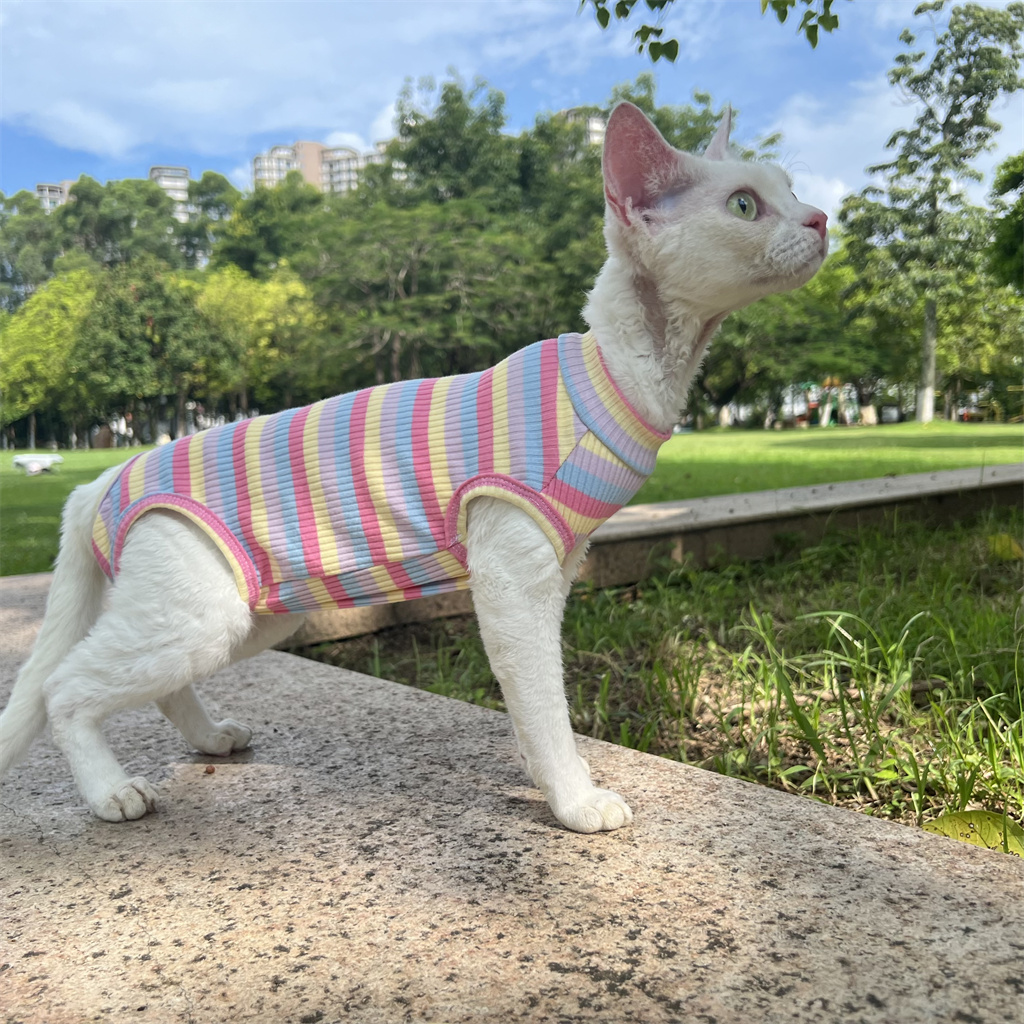 四件衣服弹纯棉力四脚衣