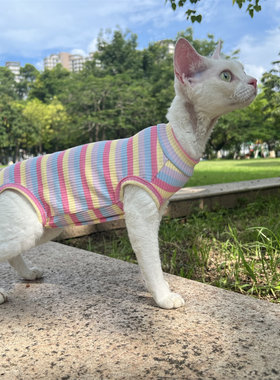 四件衣服弹纯棉力四脚衣