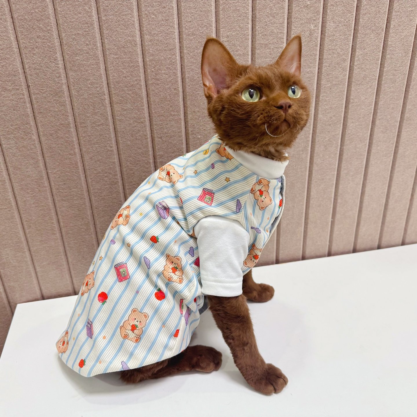 纯棉德文猫衣服史芬克斯无毛猫马甲卡通小清新外搭背心灯芯绒耐舔