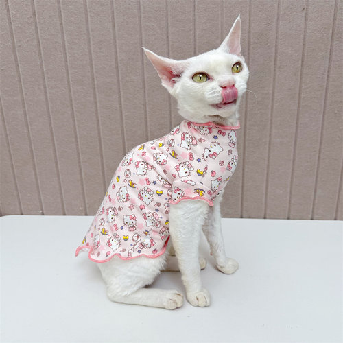 无毛猫斯芬克斯德文猫衣服