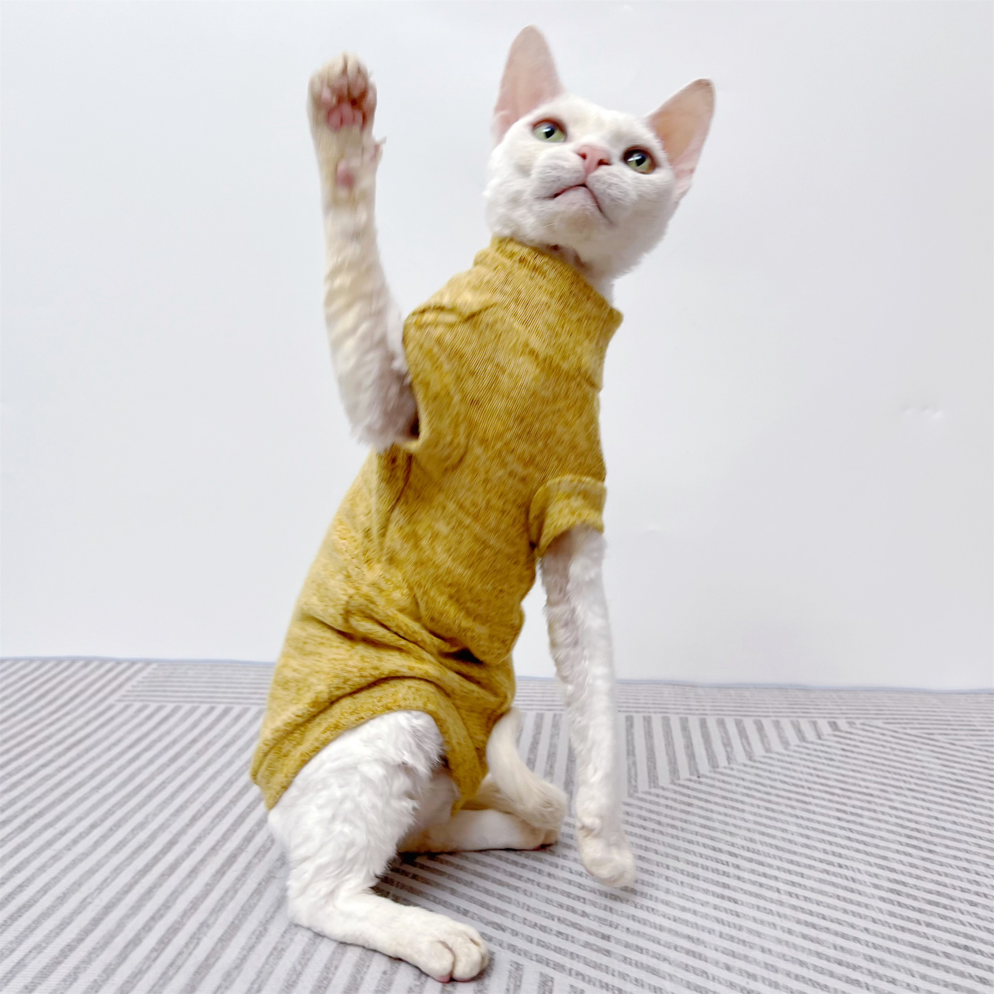 薄绒弹力背心护脖护肚