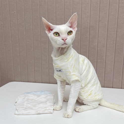 无毛德文猫衣服高弹力保暖
