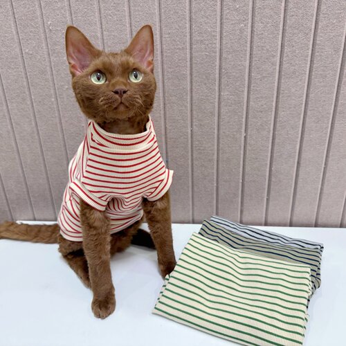 春夏纯棉猫咪复古高弹背心