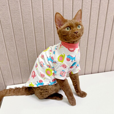 德文猫衣服居家睡衣纯棉柔软粉色弹力T恤史芬克斯无毛衣服防静电