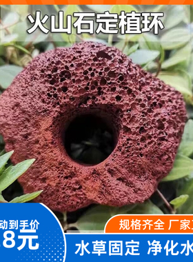 水草固定种植红色打孔火山石大块定植环鱼缸造景装饰底座钻孔