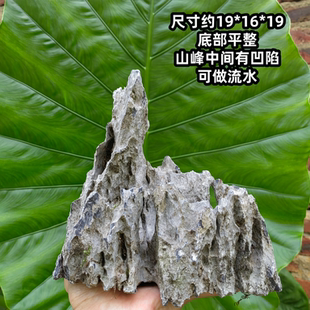 天然青龙石鱼缸造景奇形怪状英德石摆件长条附树假山小米鱼缸雪山