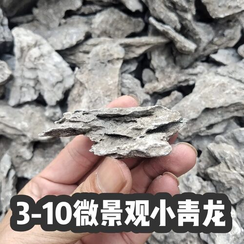 天然青龙石鱼缸造景生态微景观