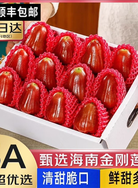 黑金刚莲雾新鲜水果5斤 当季孕妇福建脆甜海南仙女果整箱顺丰包邮