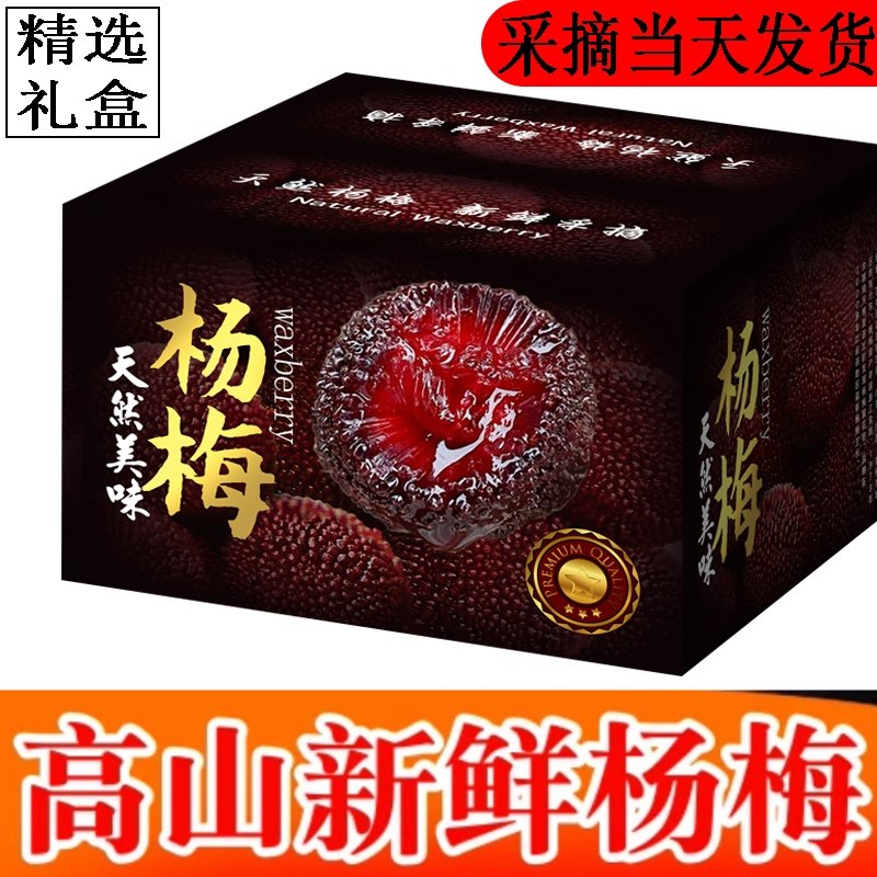 野生杨梅新鲜泡酒杨梅现摘现发水果酸甜孕妇自然熟贡品荸荠杨梅