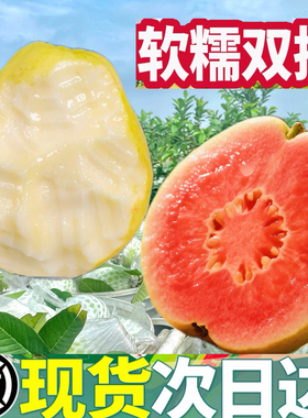 双拼软糯红白心土芭乐5斤孕妇低糖胭脂红软籽番石榴香甜大果新鲜