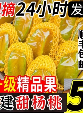 福建漳州下河杨桃水果新鲜孕妇当季农家现摘香甜多汁五角星红扬桃